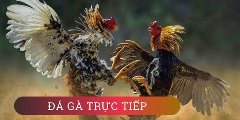 Một số thủ thuật để giúp bạn tối đa hóa cơ hội chiến thắng